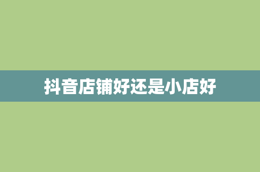抖音店铺好还是小店好