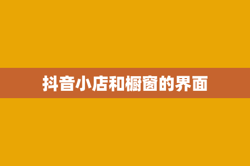 抖音小店和橱窗的界面