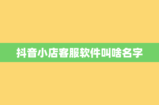 抖音小店客服软件叫啥名字